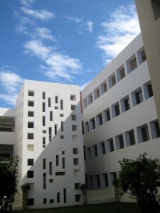 the courtyard