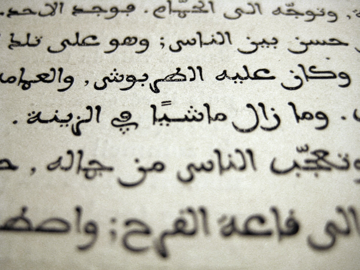 aisha2